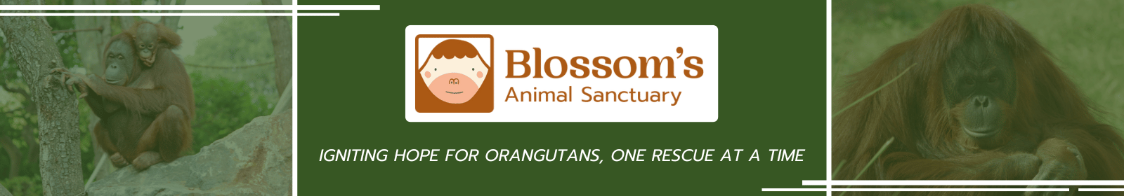 Blossom's Annual Gala and Auction FundHub